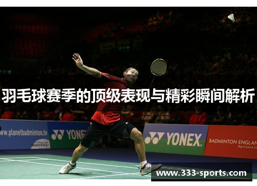 羽毛球赛季的顶级表现与精彩瞬间解析
